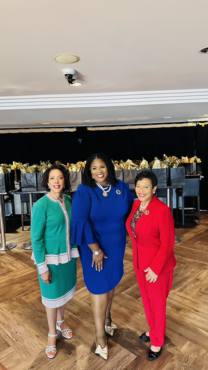 SGRho's tweet photo. International Grand Basileus Rasheeda S. Liberty at the Alpha Phi Alpha Fraternity, Incorporated Board Reception hosted by Visit Dallas.

#SGRho #SigmaGammaRho #Greater #AlphaPhiAlpha https://t.co/VHA3vnzR90