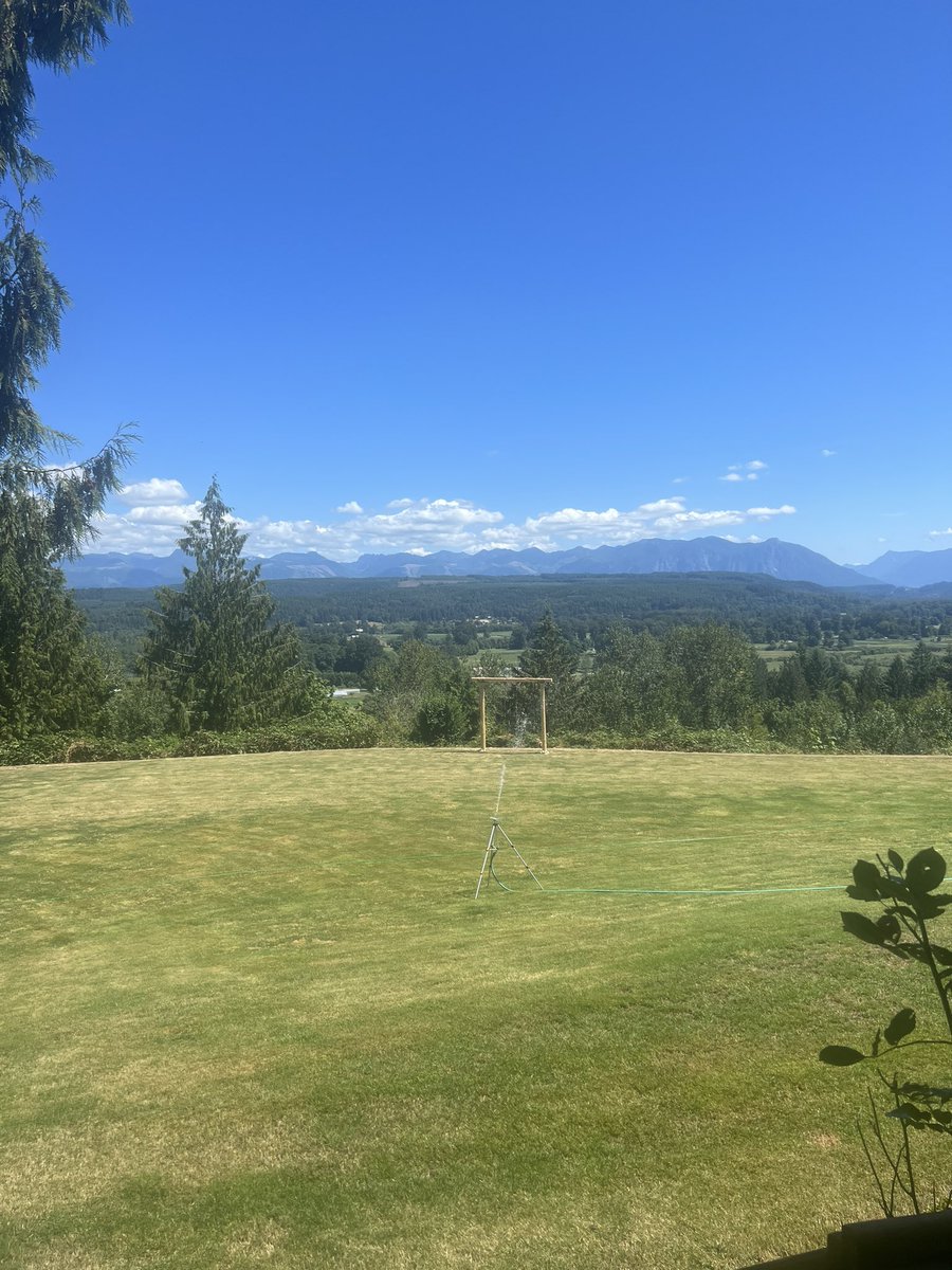 Tracey Trewin tweet media