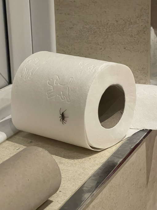 It&rsquo;s okay I didn&rsquo;t wanna wipe my ass anyway https://t.co/Bdh9AreHfr<a href="/tag/thelastleg"class="tags"><span>#thelastleg</span></a>