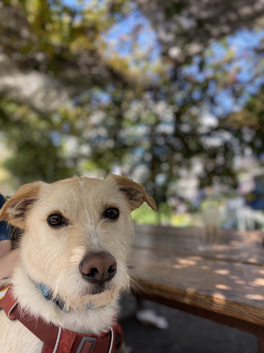 Saskia Leggett tweet media