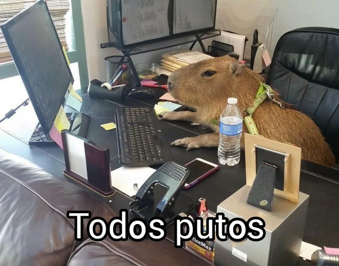 <a href="/forerolas/">nico</a> Sí son