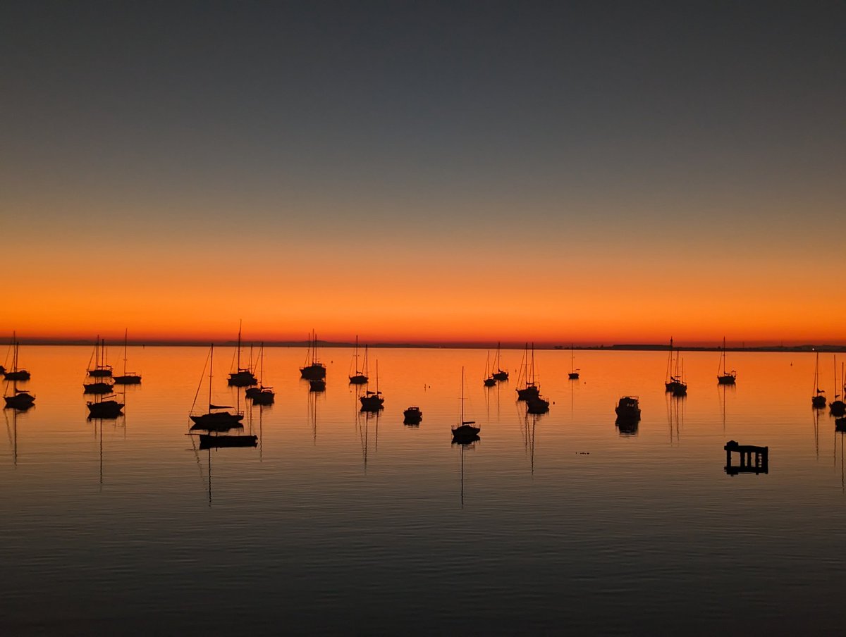 Karen Dwyer tweet media