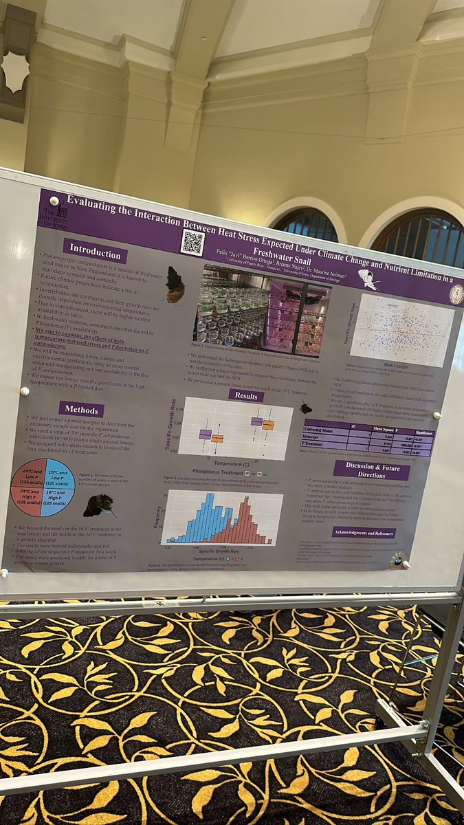 FelixJBerrios's tweet photo. REU Done ✅ 
These past 10 weeks have been filled with a lot of learning and growing as a scientist. Working on this project taught me a lot and I’m really proud of my work! https://t.co/fTZD74FSHs