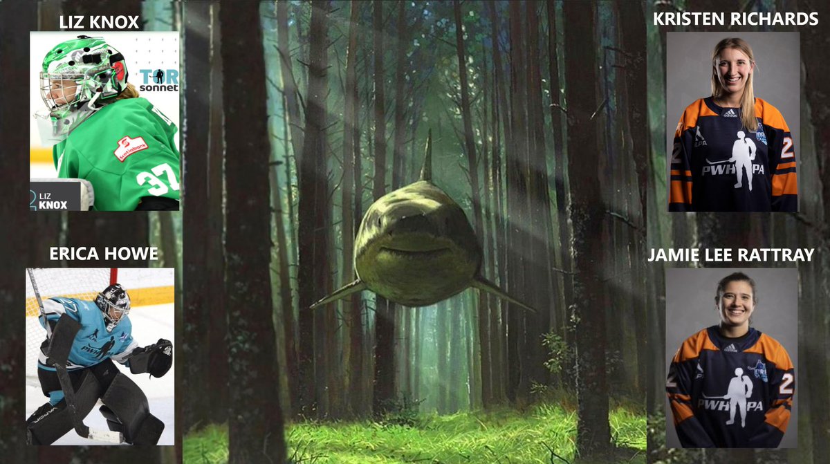 Your <a href="/BarrieSharks/">Barrie Sharks</a> U15BB for 2023/24 season will be having a golf tournament on Sunday August 20 at The Wilds at Cedar Valley golf course. We are excited as we will be having 4 players from the PWHPA coming to play in our tournament. Spots still available. #barrie