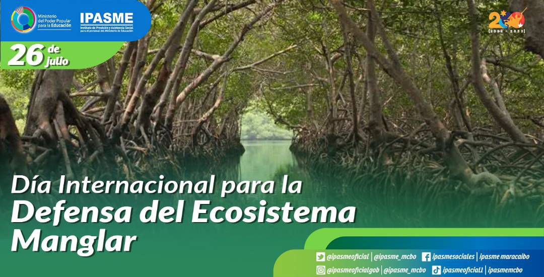 🌱🍃 Día internacional para la defensa del ecosistema manglar.

Los manglares son ecosistemas costeros que se encuentran en regiones tropicales y subtropicales.

<a href="/NicolasMaduro/">Nicolás Maduro</a>
<a href="/IpasmeOficial/">Ipasme Oficial</a>
#PlanDescontaminaciónDelLago