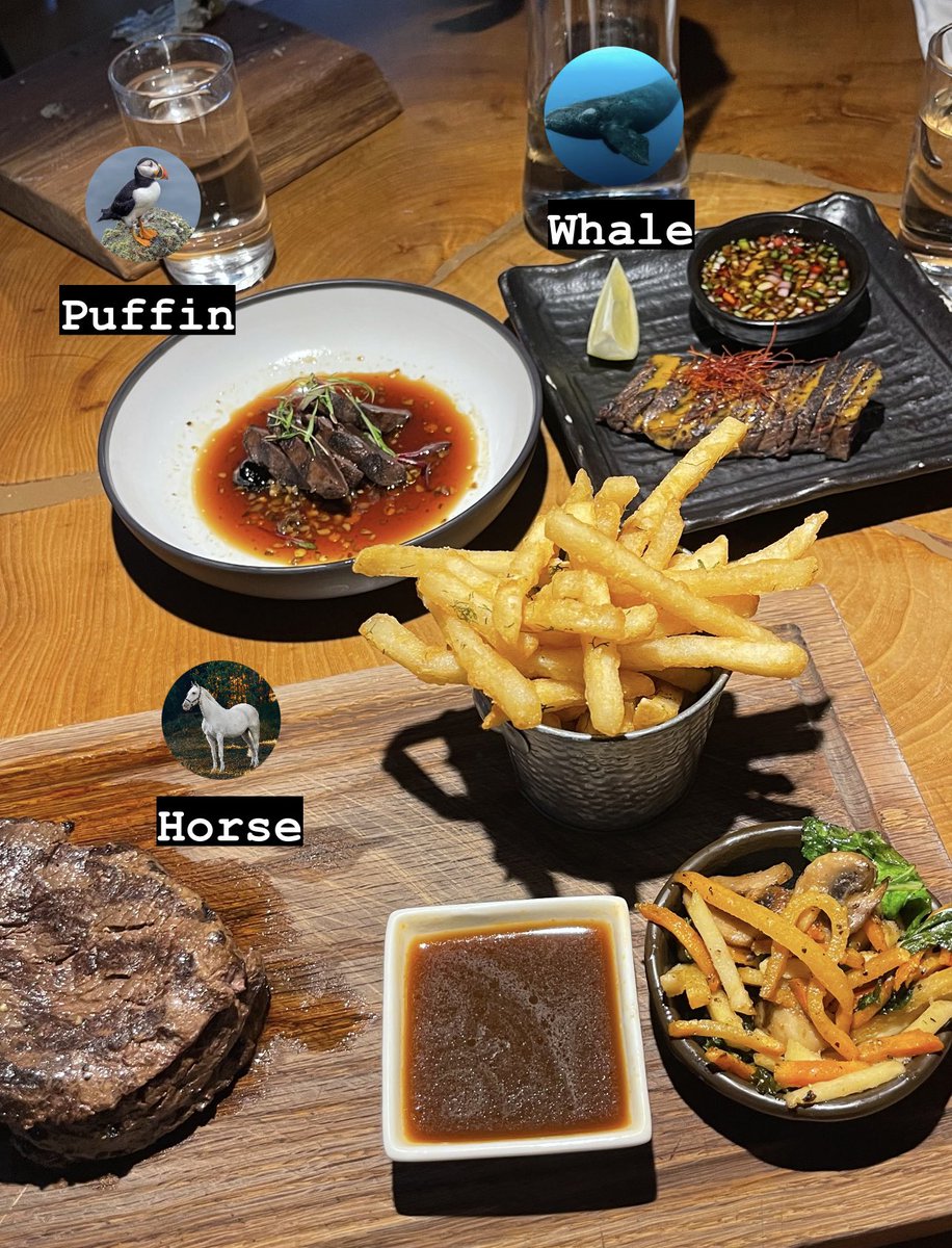 shanefanx's tweet image. In 24 hours, we tried shark, whale, puffin, horse, and other unique foods for the first time in Iceland

Shark tasted like a fishy fermented chewy chicken

Whale tasted like steak with hints of tuna

Puffin was unique asf

Horse tasted like steak but had a grassy after taste