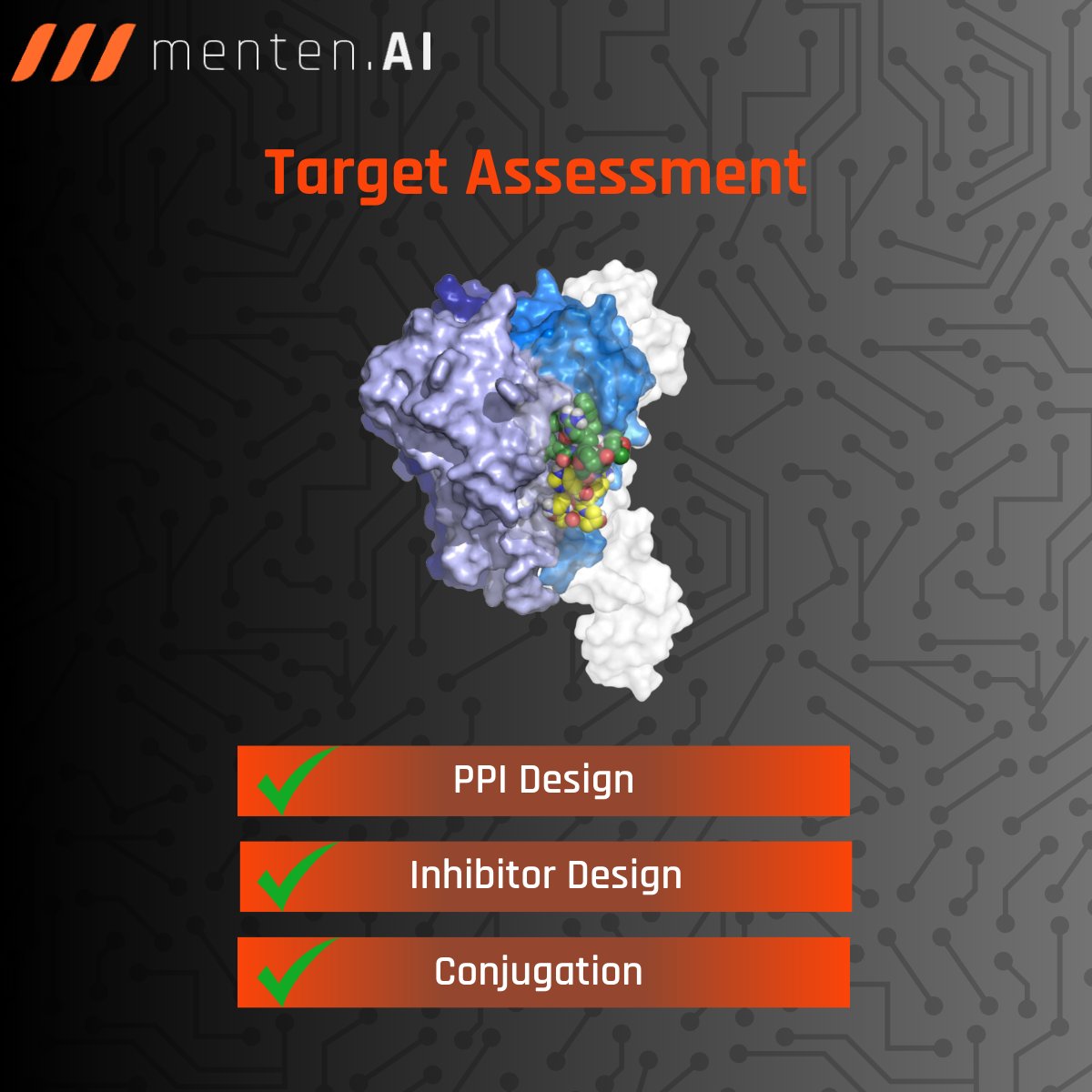 Drug discovery starts with having the right target ✅
Menten AI’s target assessment tool can uniquely model protein dynamics and identify novel hot-spot regions amenable for cyclic peptide design 🎯 
#generativeai #artificialintelligence #drugdiscovery #peptides #biotechnology