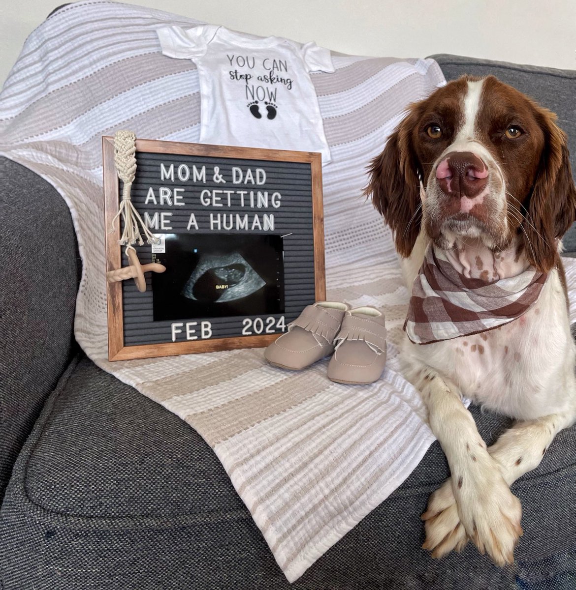 Just in time for next baseball season.