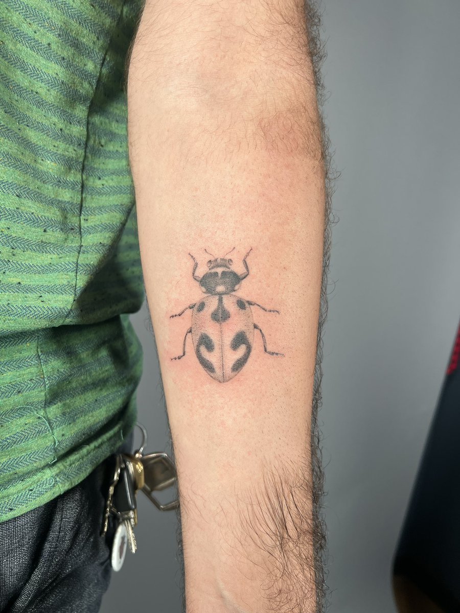 2ben2furious's tweet photo. dissertation deposited last week but this made me feel like an official ladybug doctor https://t.co/S4Wbx7z23u