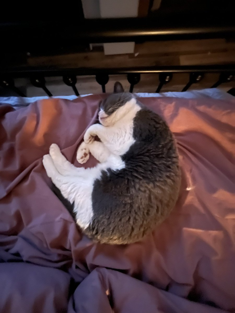 Zzz or is it xxx now