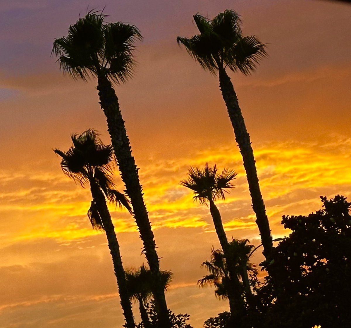 MVSD Vision 2023/2024: Thriving Via Inspiration and Innovation! Summer is going strong. We are busy across MVSD preparing our district for the return of our students. @mtnviewsup