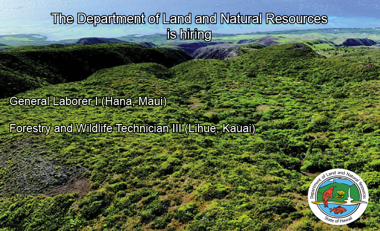 FURTHER YOUR CAREER AT THE DEPARTMENT OF LAND AND NATURAL RESOURCES General Laborer I (Hana, Maui) governmentjobs.com/careers/hawaii… Forestry and Wildlife Technician III (Lihue, Kauai) governmentjobs.com/careers/hawaii…