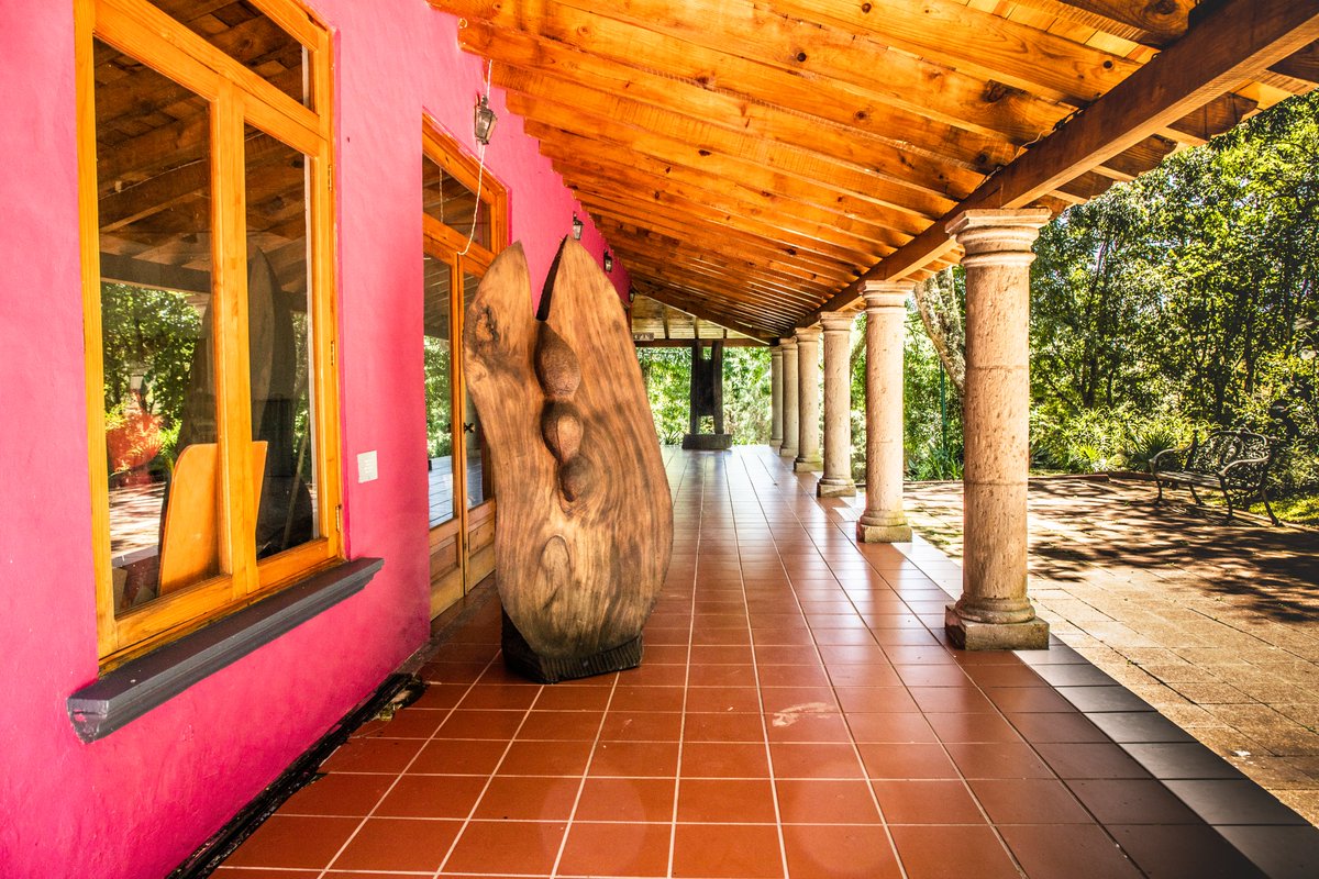 VeracruzTurismo's tweet photo. #Xalapa está llena de cultura y muchos museos por recorrer. 🤩

Date una vuelta para conocer el Jardín De Las Esculturas donde podrás conocer sus grandes obras permanentes así como las exposiciones, eventos y proyecciones que se van cambiando su agenda y cartelera.✨ https://t.co/pguUBcn5lx