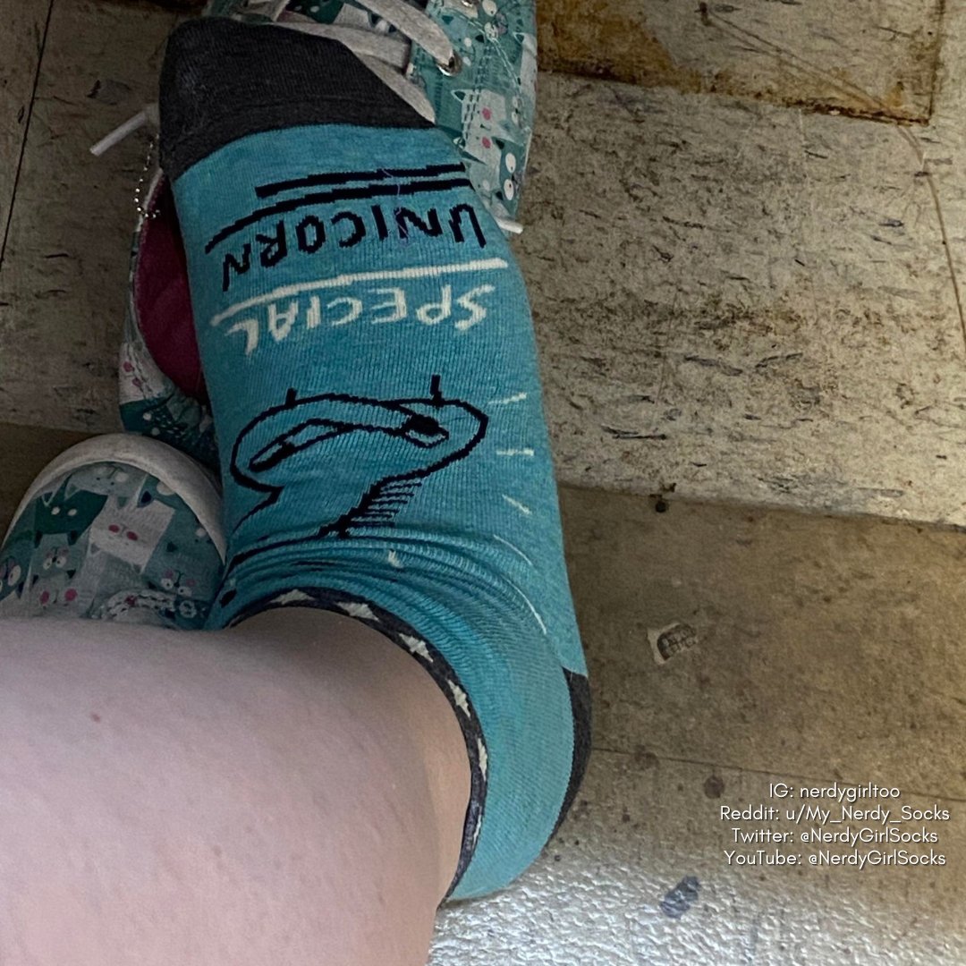 NerdyGirlSocks's tweet photo. Showing off these cute Special Unicorn socks from John's Crazy Socks! I love them they are so cute and comfortable! Hope you guys enjoy! ๐ 1/4
#anklesocks #cutesocks #unicorns #bluesocks #candidsocks #socksatwork #chaussettes #feet #footmodel #girlsocks #pieds #selfeet #shoesoff https://t.co/v2usV77EXj