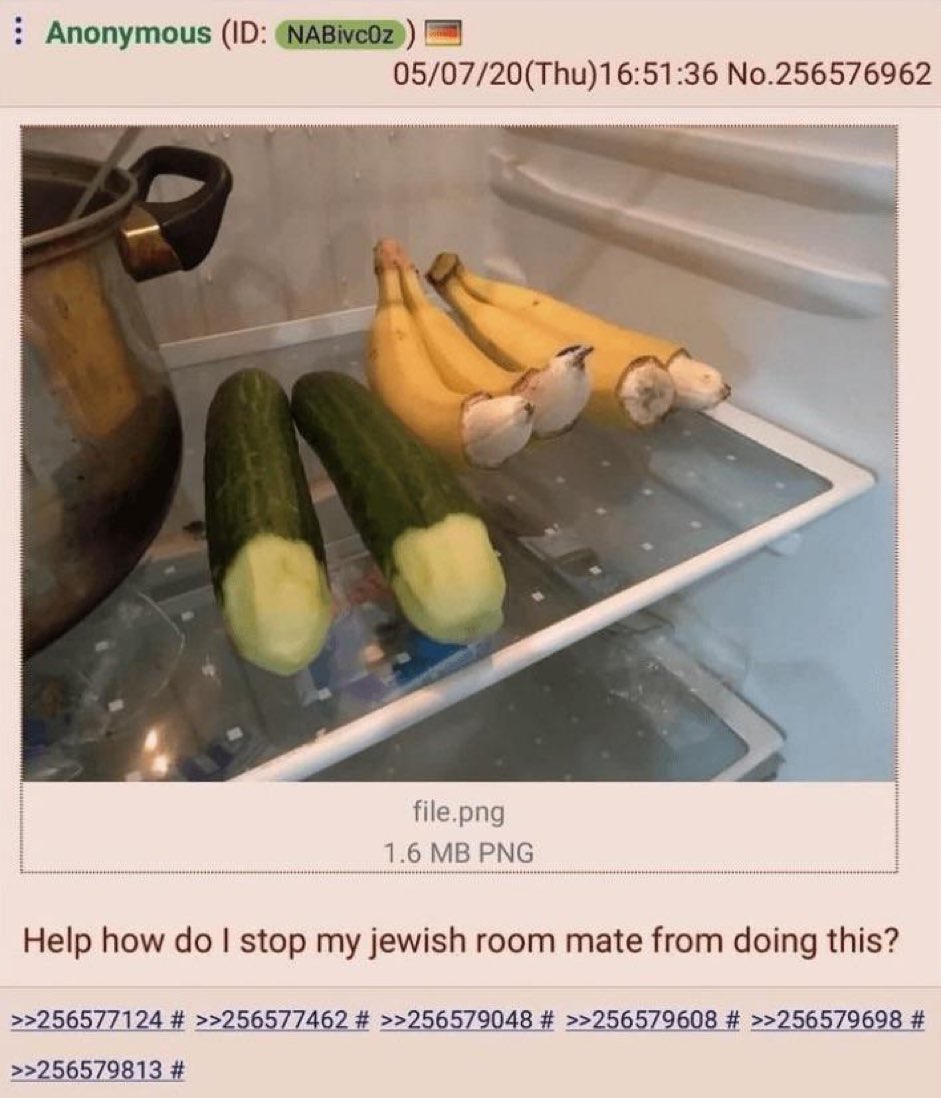 Out of Context Human Race (@nocontexthumans) on Twitter photo 