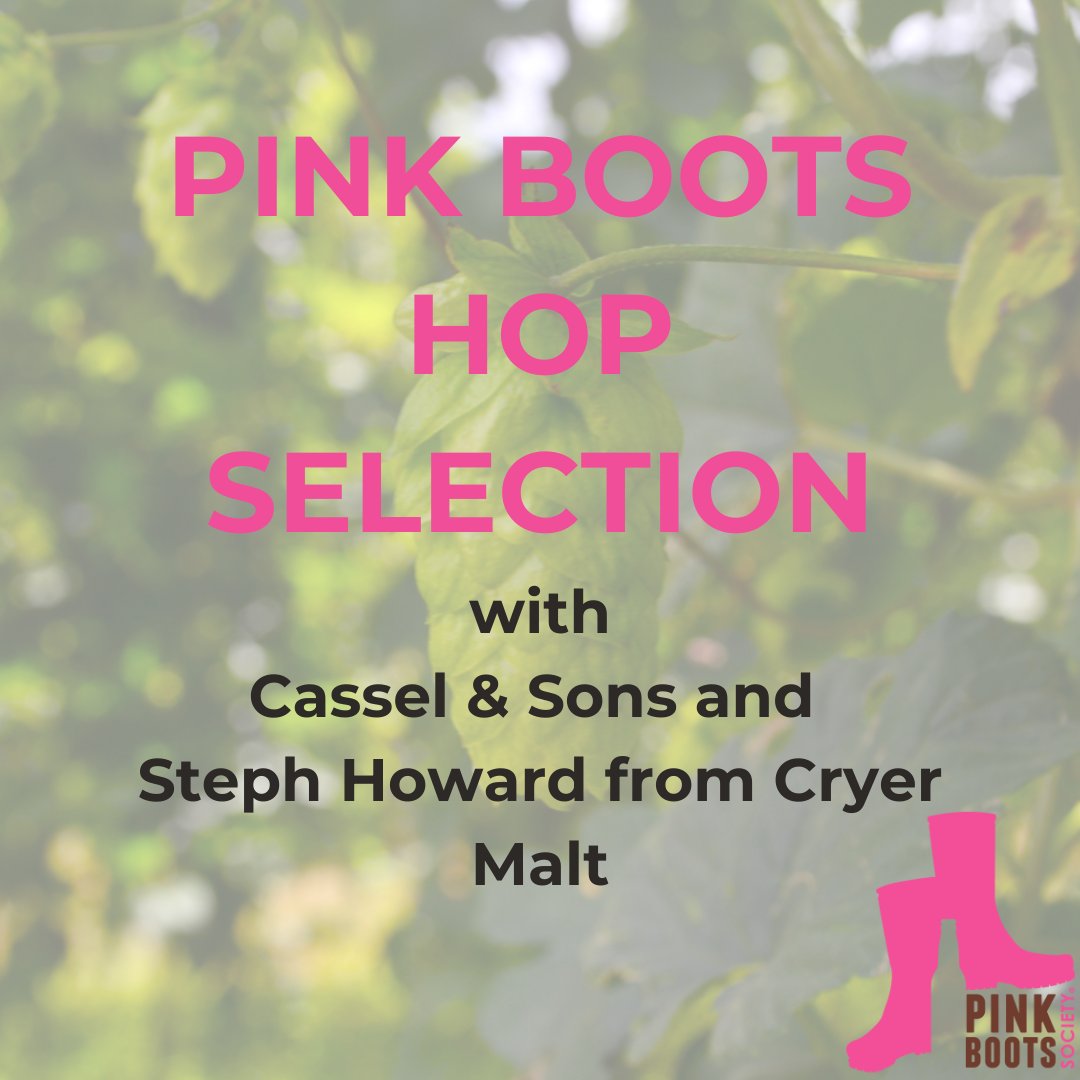 PinkBootsNZ tweet media
