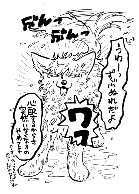 脱走さとる犬 