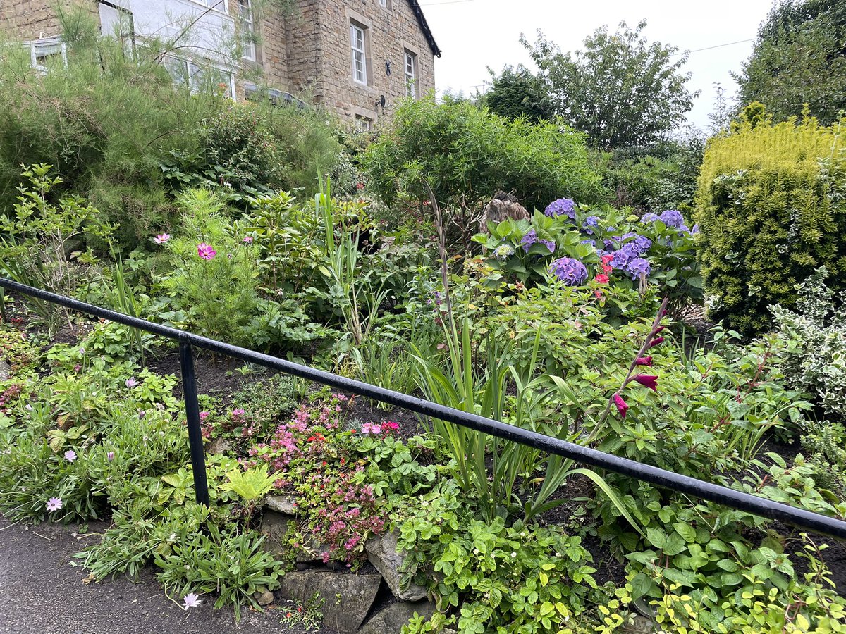 sarabrownhawk's tweet photo. 🌿🌻 Embracing the serenity of gardening! 🌱✨ There's something magical about getting your hands dirty, nurturing tiny seeds, and witnessing them blossom into beautiful plants. 🌸🌿

#GardeningLove #GreenThumbs #NatureLovers #BackToNature #PlantLife #GardenGoals #sheffield https://t.co/DDGkH3gCKF