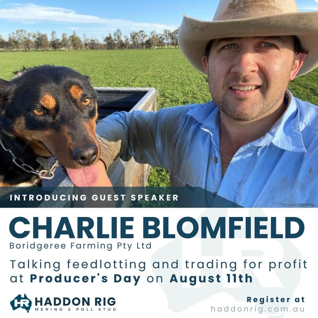 haddonrigstud tweet media