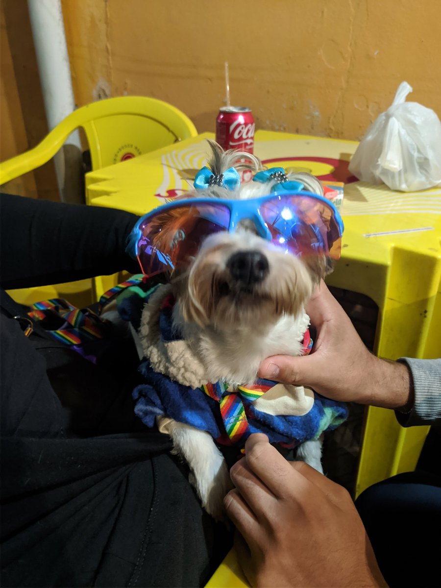 _KAZ2Y5_2's tweet photo. parem tudo que vcs tão fazendo e dêem uma olhada na Laila de juliet https://t.co/cZ6WjzQkIy