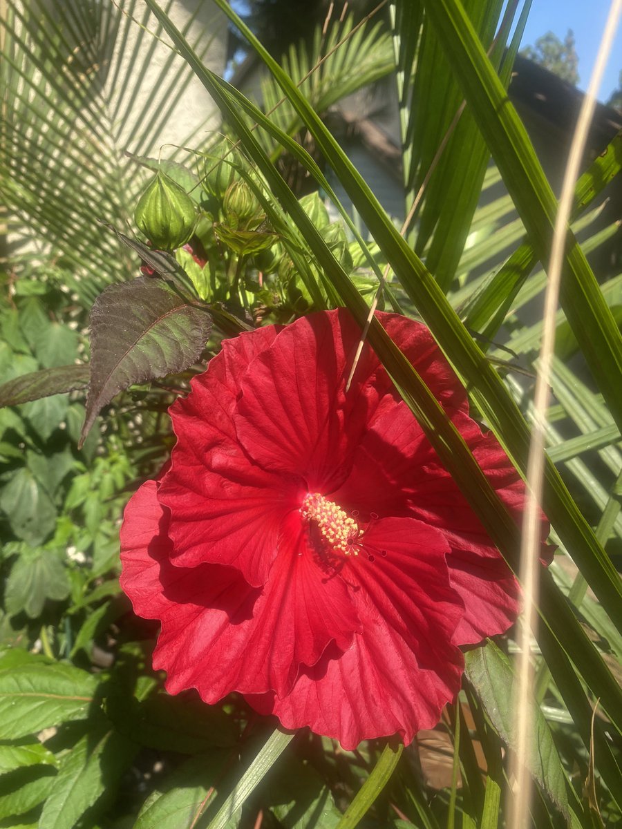 Gordon Shears (@shearsgordon) on Twitter photo 