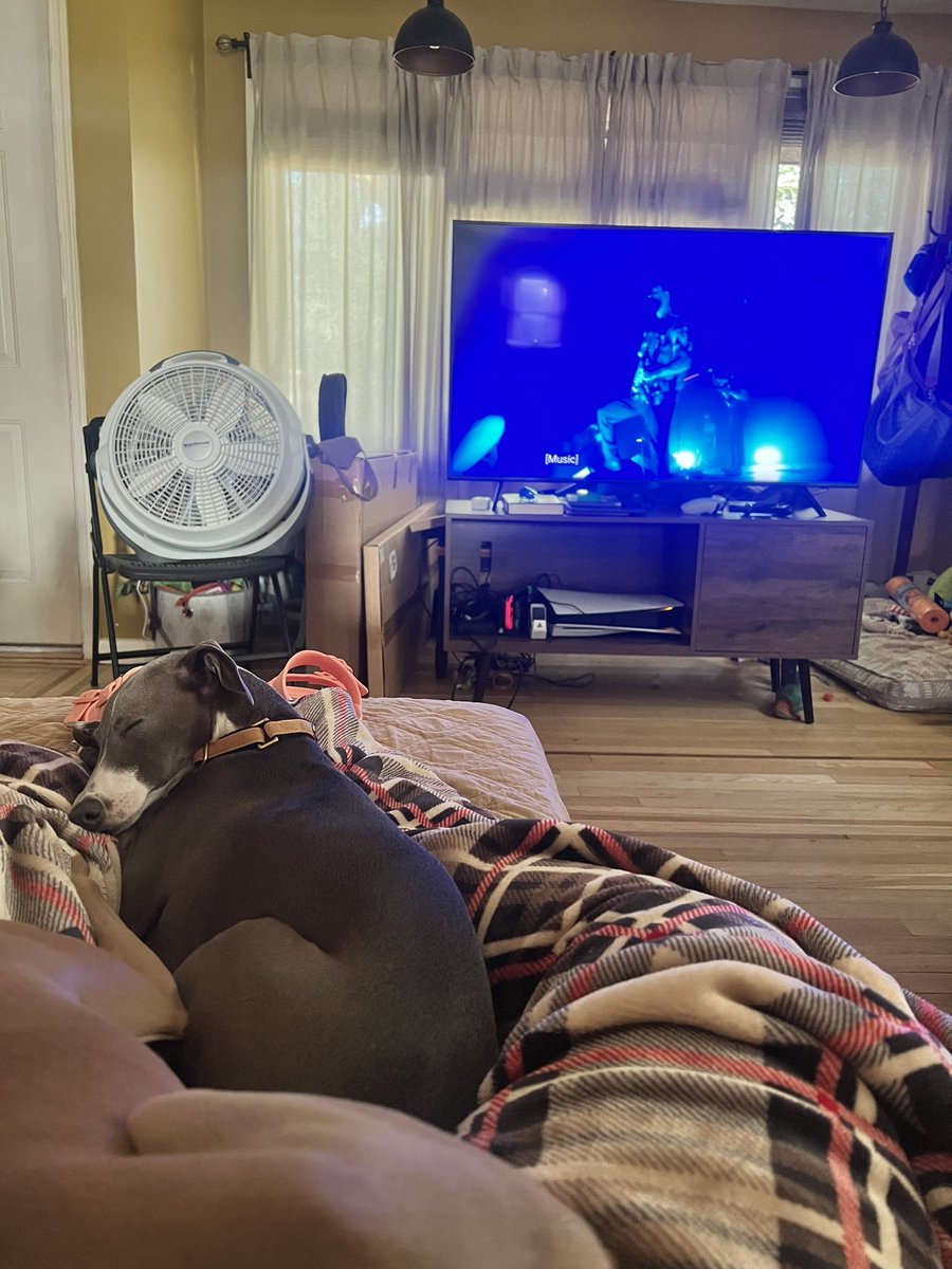 lovegi31's tweet photo. Why do my dogs calm down &amp; sleep when I put on @idlesband ? It’s like their lullabies 🤣 https://t.co/QFVHMFTa1z