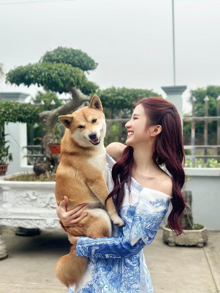 TGODladys's tweet photo. 人不如狗 https://t.co/Q0AU5KEa8a