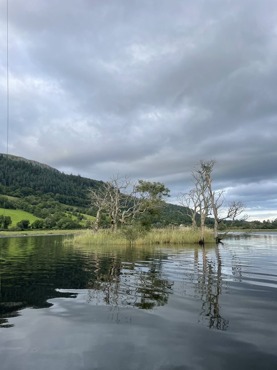 Mullaliss's tweet photo. Amazing location for a day of fishing on Glencar lake. Sligo never disappoints in the variety of holiday activities.

#choosesligo #Sligo #WildAtlanticWay #glencarlough #glencarangling https://t.co/2uvaZkgKB2