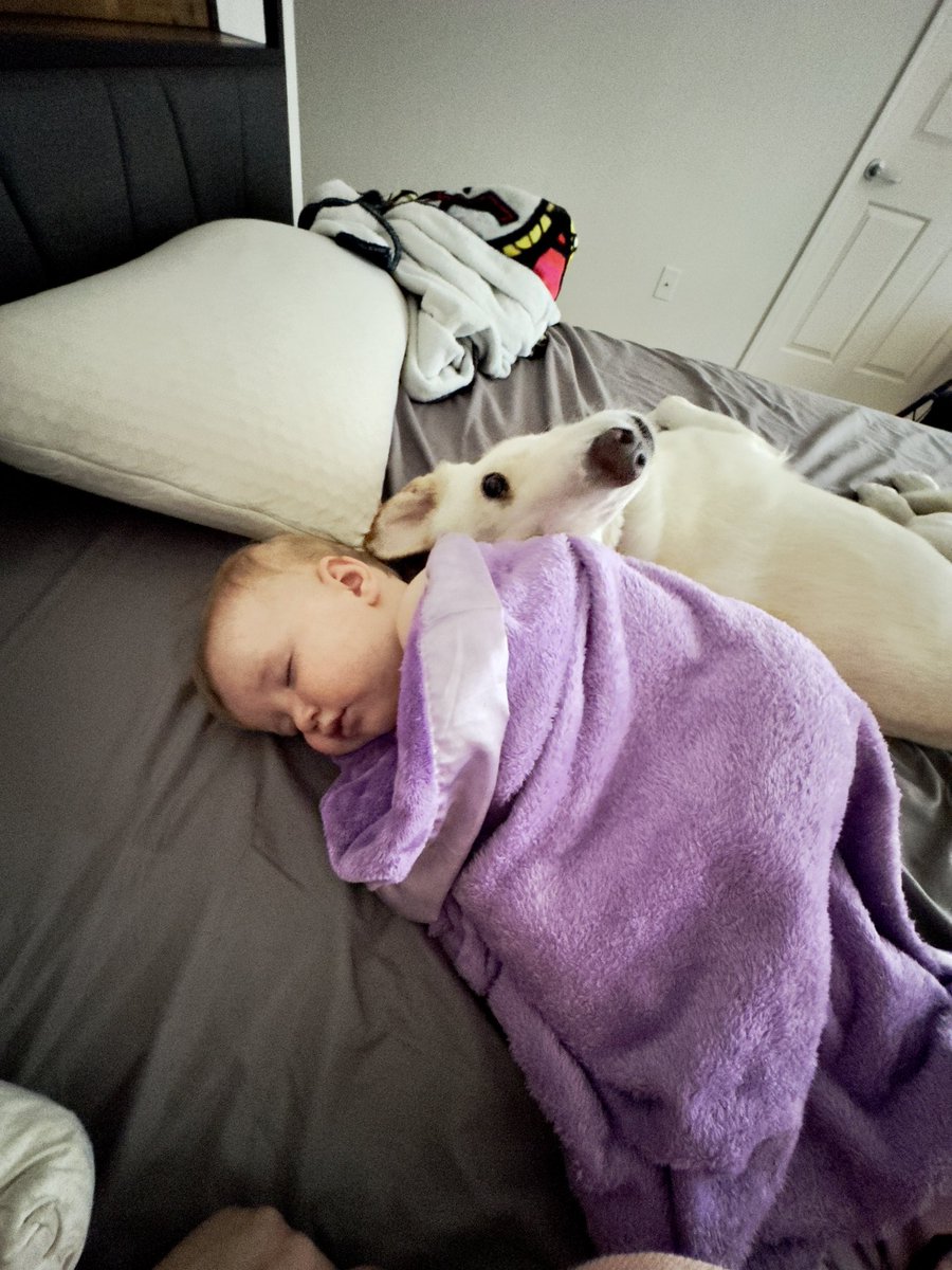 Goblin Mode Mom tweet media