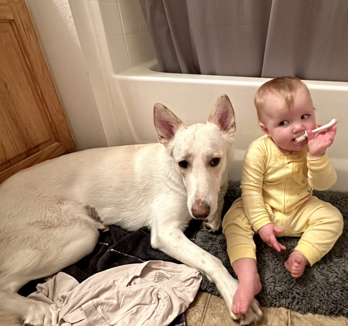 Goblin Mode Mom tweet media