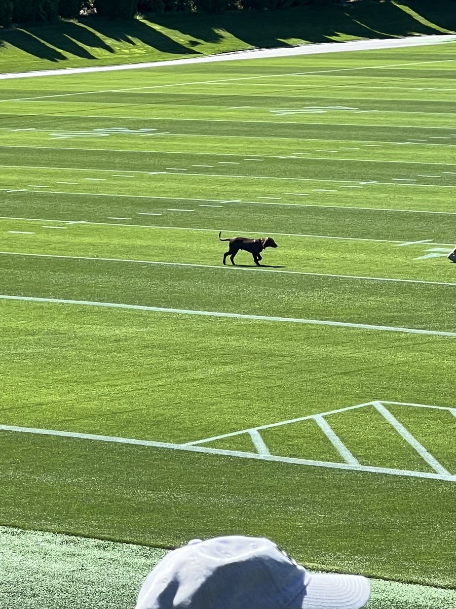 Stromer Stan tweet media