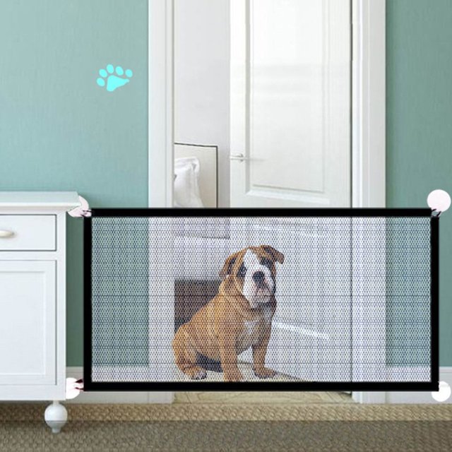 PetBusters's tweet image. Are you looking for a new dog gate? This mesh dog gate is durable, tear-resistant and perfect for indoors or outdoors. Check out our website to get yours delivered directly to you!

thepetbusters.com/product/new-do…

#doggate #meshdoggate #dogfence #petbarrier #pets #householdpetproducts