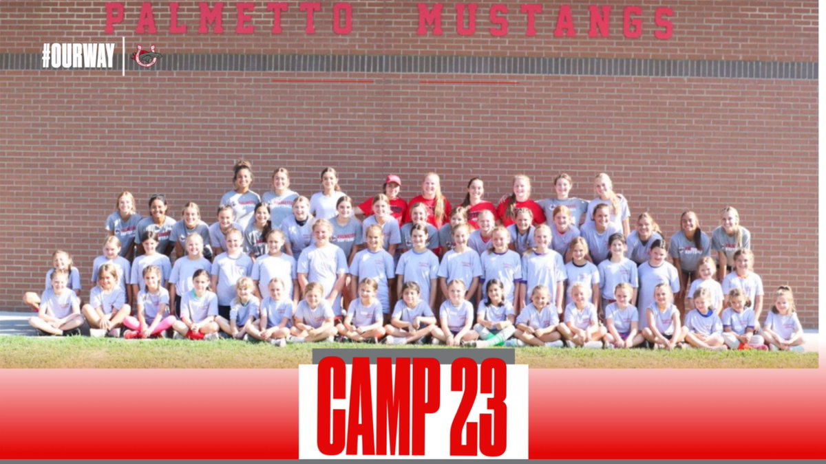 Palmetto Softball tweet media
