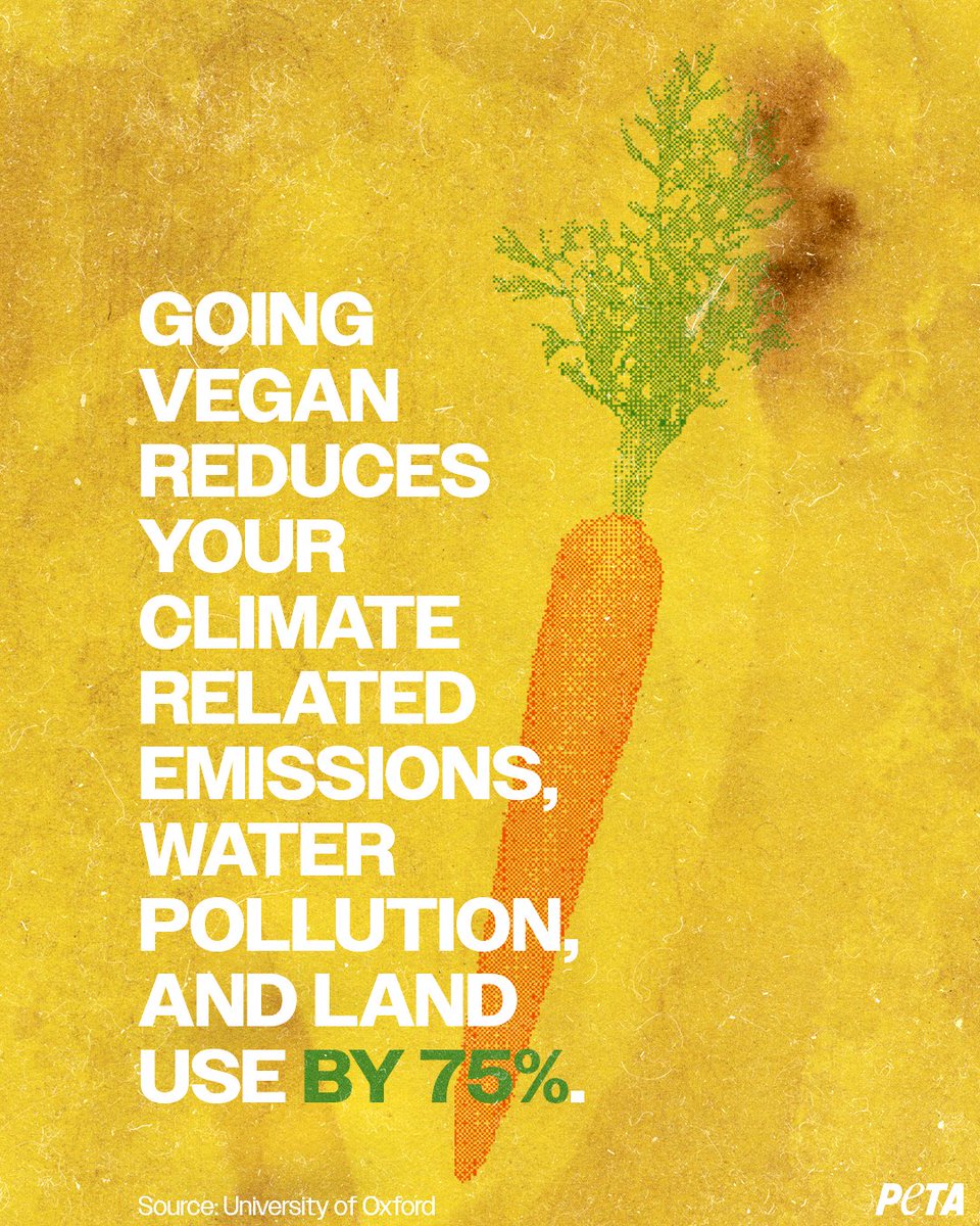 If you don’t act to protect the planet, who do you expect will?