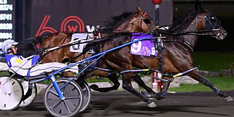 U.S. Trotting Assn. tweet media