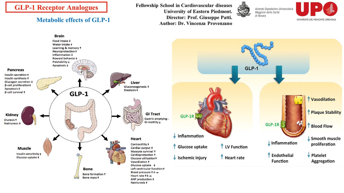 CardioNovara's tweet photo. Cardiology meeting (July 20th, 2023) presented by Dr. V. Provenzano, under the supervision of Prof. G. Patti, Full Professor of Cardiovascular Diseases (CVDs) at University of Eastern Piedmont and Director of the Department of Thoracic and CVDs at Maggiore della Carità Hospital https://t.co/Qz6J9JsqIK