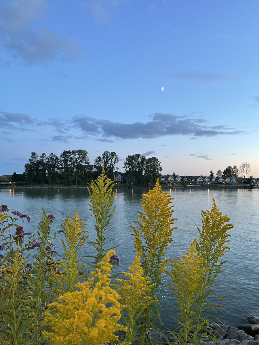 #TwilightWhispers from #NewWestminster Quayside! 💫🍁🇨🇦