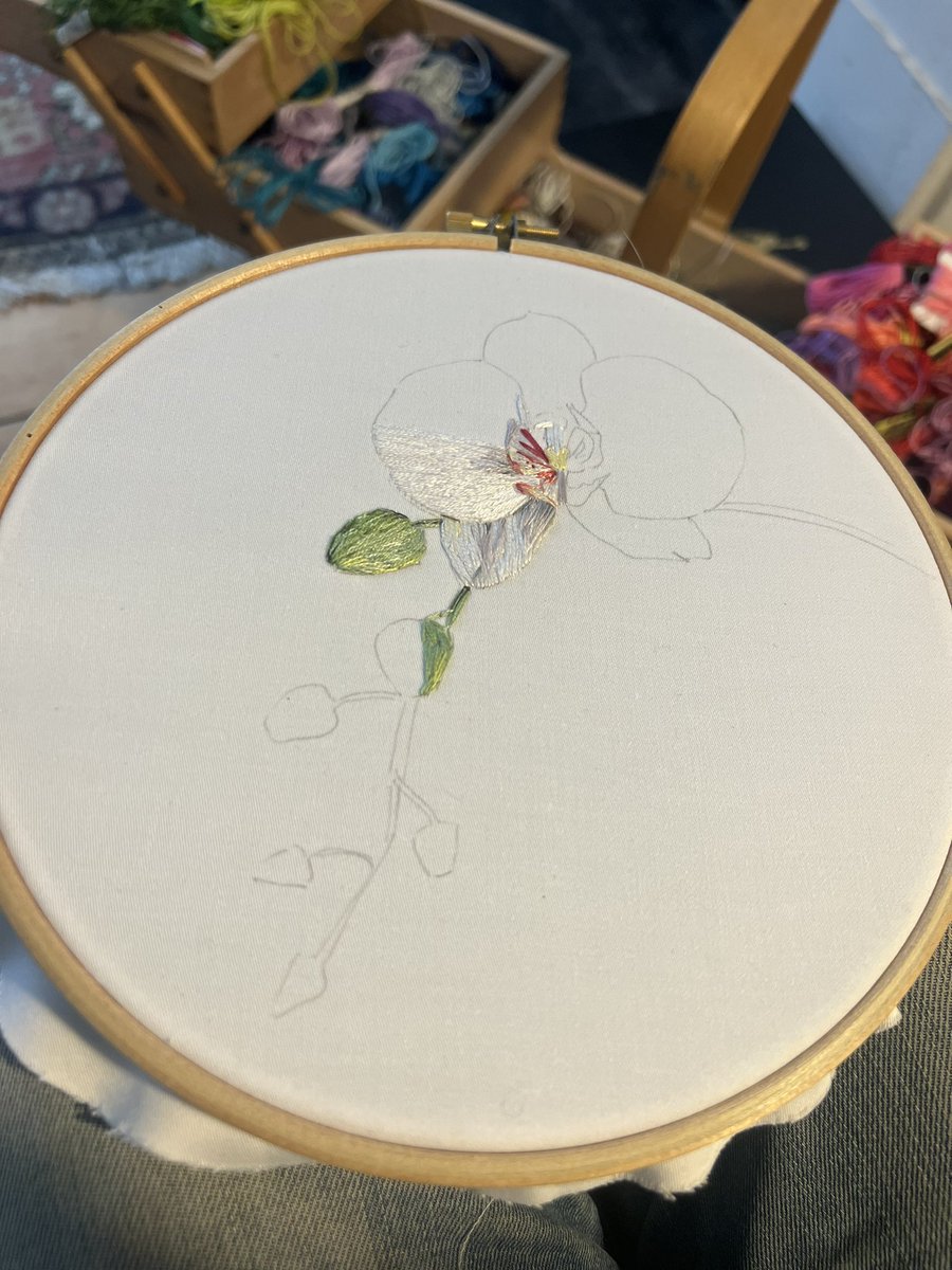 Normally I’m scared of colour but I’m forcing myself out of my comfort zone both in subject and colour! And really enjoying it (ok it’s a white orchid but … babysteps 🤣)👏🏼👏🏼👏🏼