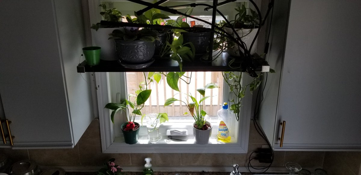 Citizen Strider ☭🇵🇸 tweet media