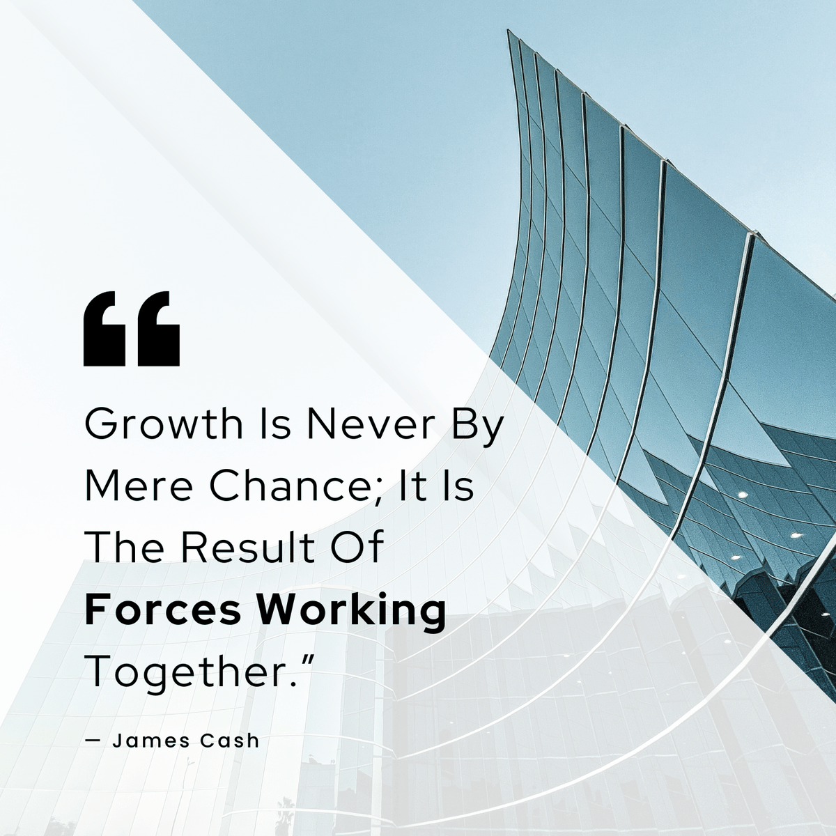 Mary Cook tweet media