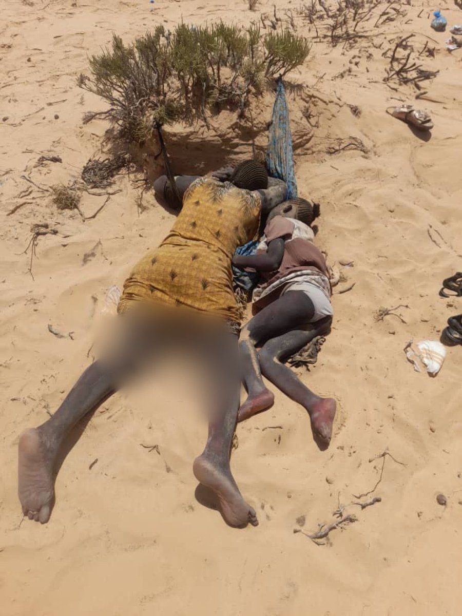 Des pays arabes qui ont laissé délibérément des mères africaines et leurs enfants mourir dans des désert libyen après s’être fait renvoyer le la Tunisie.

Le tribalisme est une pourriture !!