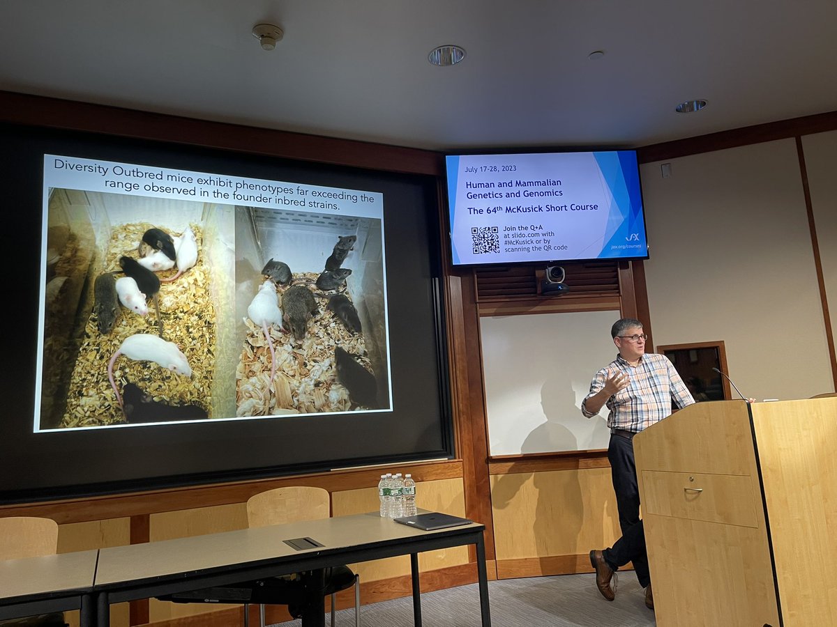 Kowsar Teymouri tweet media