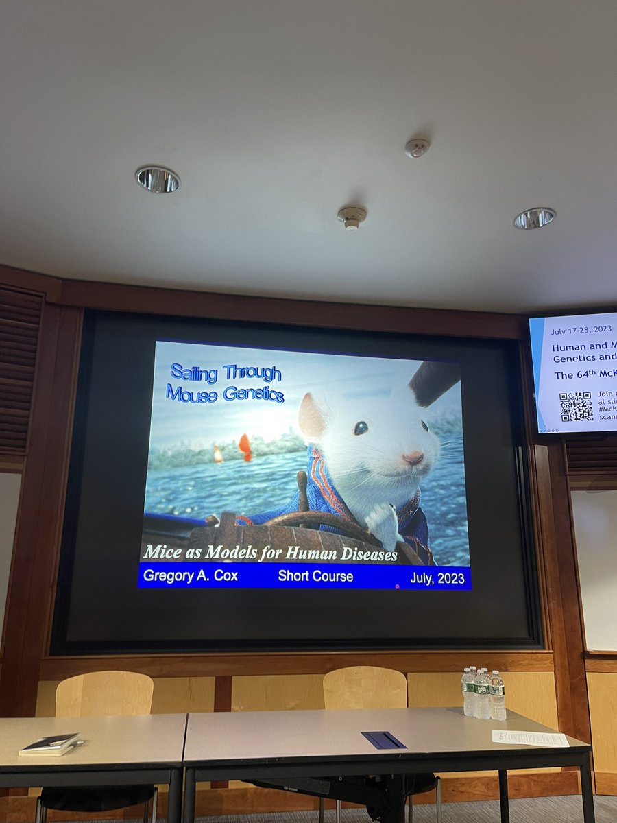 Kowsar Teymouri tweet media