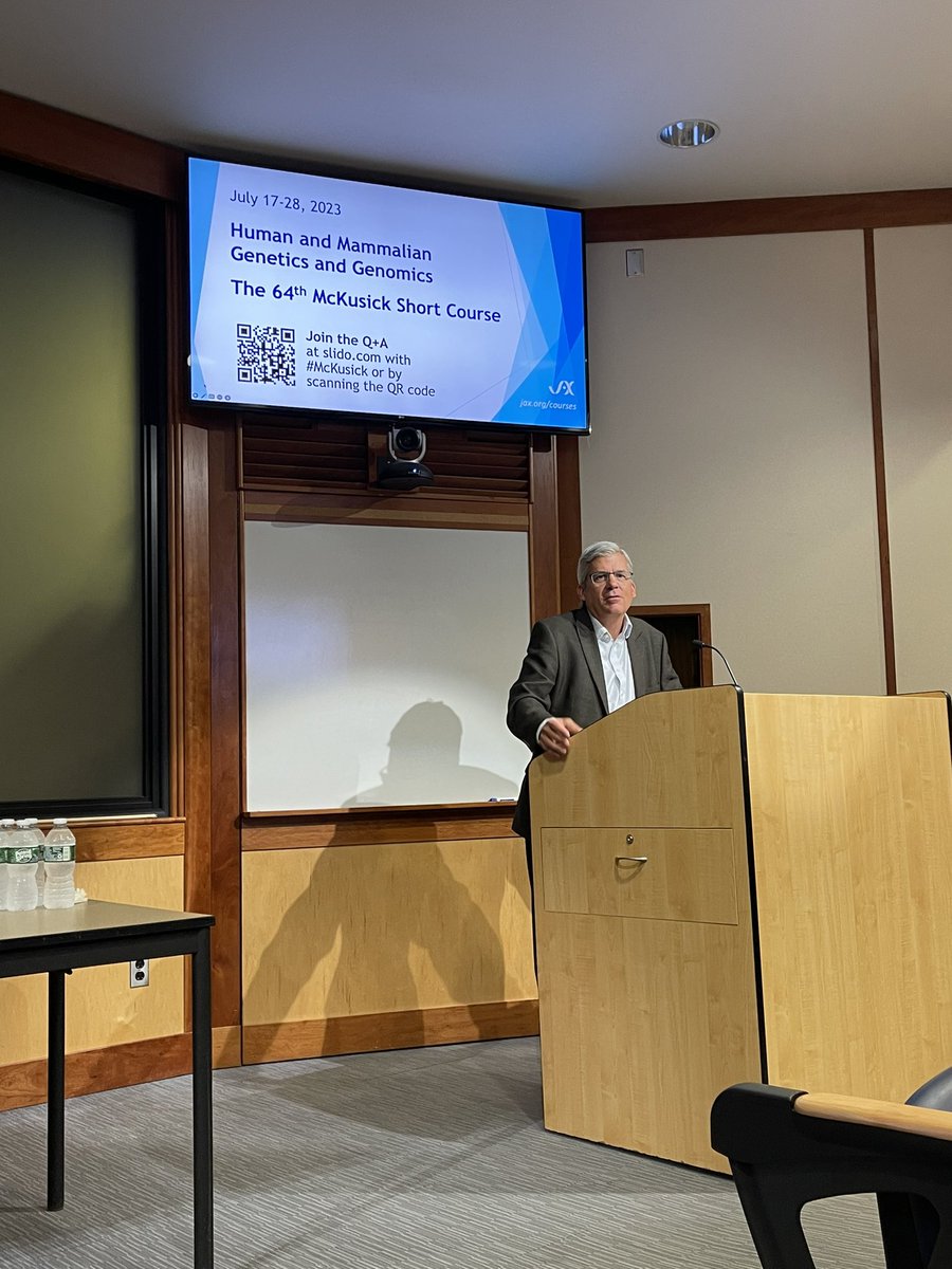 Kowsar Teymouri tweet media