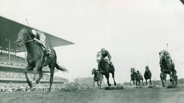 HORSERACING1002's tweet image. CARRY BACK🇺🇸1958
(SAGGY - JOPPY BY STAR BLEN)#CarryBack
B/O/T Jack Price (Fl)
Apr 16, 1958
62-21-11-11---
$1,241,165
1961 champion 3yo Colt. 
Garden State S, Cowdin S, Remsen S, Kentucky Derby, Preakness S, Flamingo S, Florida Derby,  Trenton H, Jerome H, Everglades S,