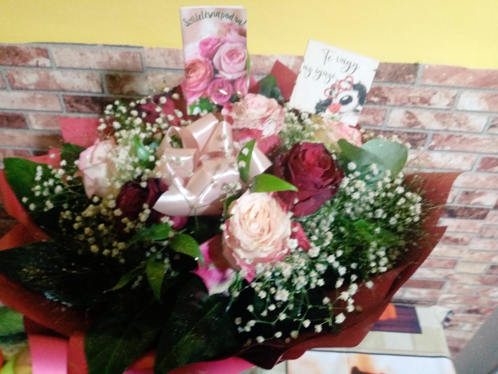 Ella2398's tweet photo. Annyira meseszép🥰🥰
#férjemtől https://t.co/77jAzwnsHX