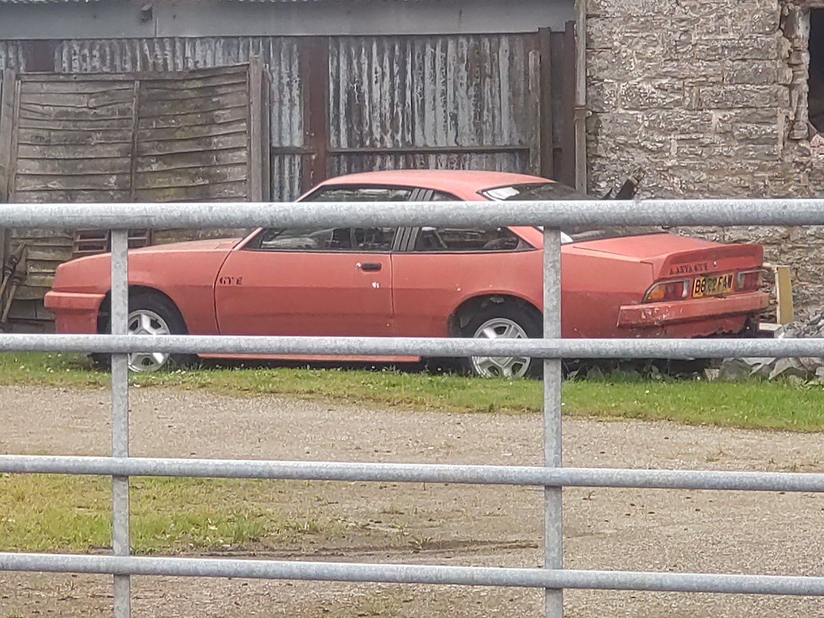 Spotted today. Sad face.