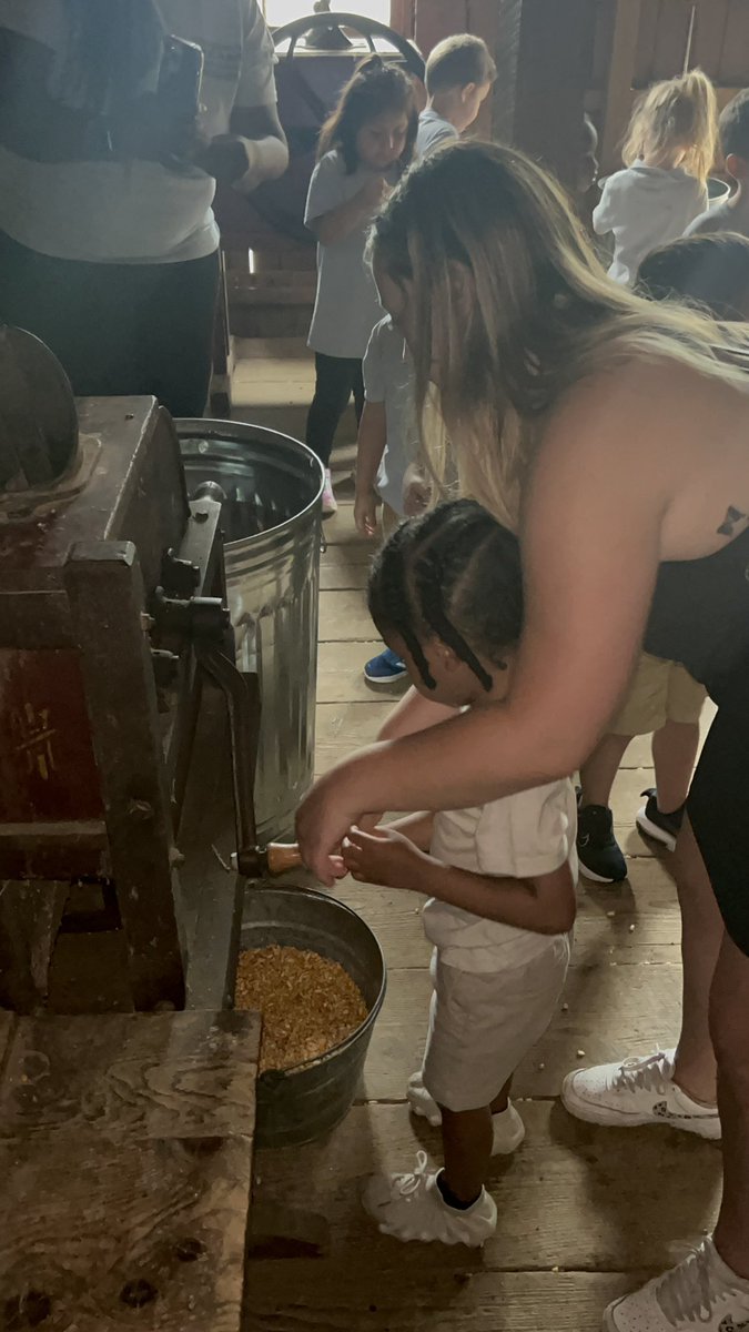 Bella Messick tweet media