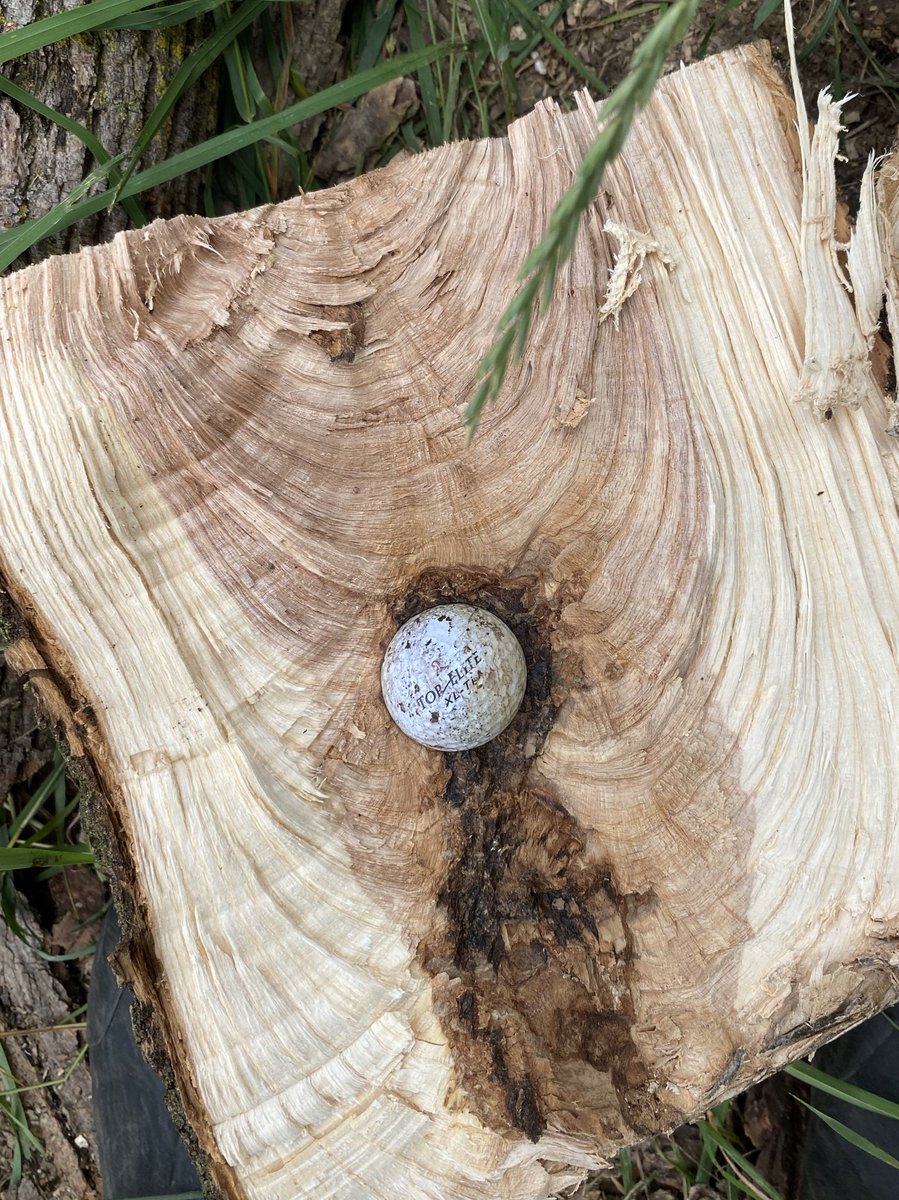 Scotty Cameron tweet media