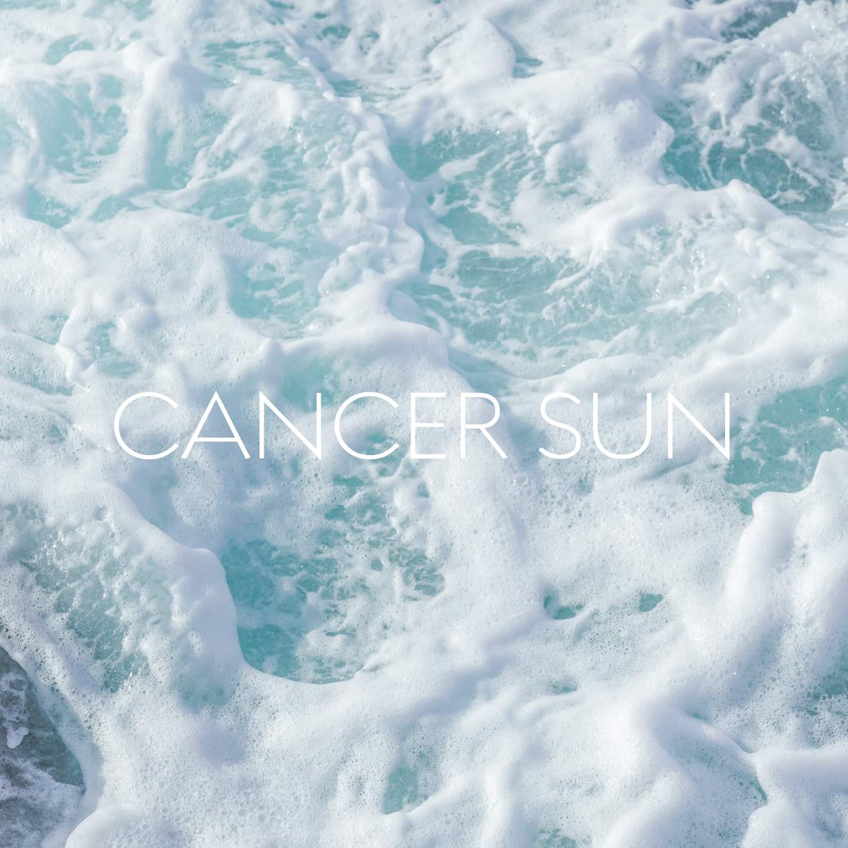 studpuffinn's tweet image. 